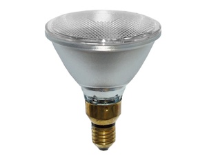 Osram 64839 Halopar 38 100W E27 FL30D